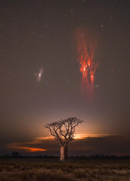 A dark landscape is back lit by a thunderstorm in the 
distance. A lone tree is visible near the center. Above the
tree are two sky icons: the Andromeda Galaxy on the left 
and bright red sprites on the right. 
Please see the explanation for more detailed information.