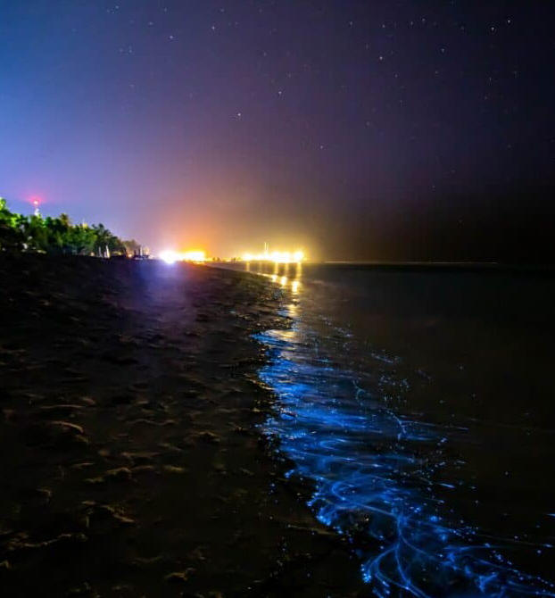 A picture of Cocoa Beach Bioluminescence